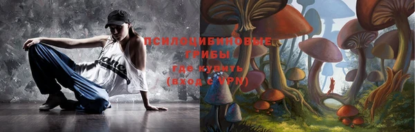 индика Куйбышев