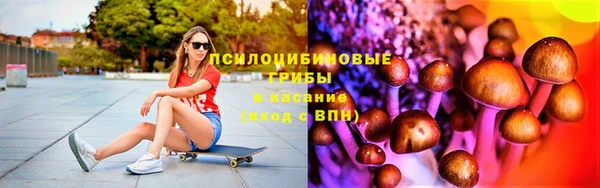 индика Куйбышев