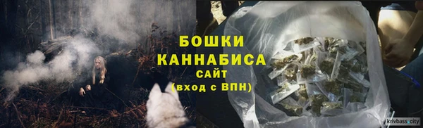 тгк Кукмор