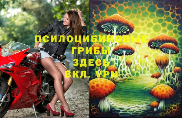 индика Куйбышев