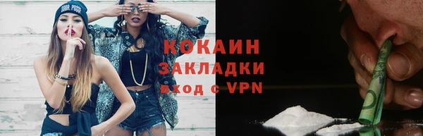индика Куйбышев