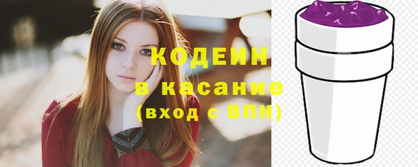 индика Куйбышев