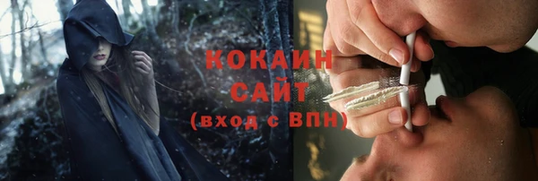 тгк Кукмор