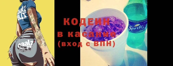 индика Куйбышев