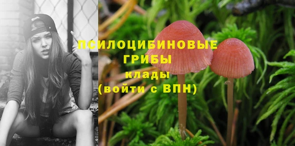 гидропоника Протвино