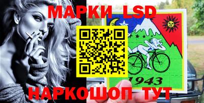 гашик Кингисепп