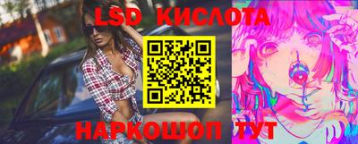 гашик Кингисепп
