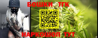 гашик Кингисепп
