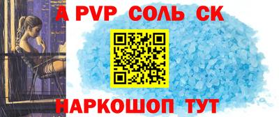 гашик Кингисепп