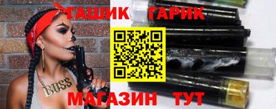 гашик Кингисепп