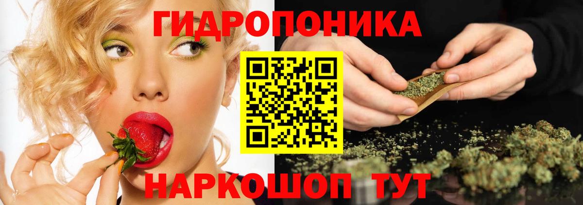 Бошки марихуана OG Kush  Каннабис план  Невинномысск  Вход с VPN 